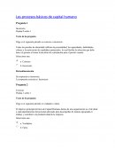 Los procesos básicos de capital humano
