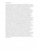 Los derechos fundamentales