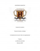 Importancia del CV en las organizaciones