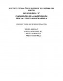 PROYECTO DE MICROPROPAGACIÓN