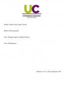 Microeconomia. Prolegómenos