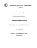 Delitos asociados al narcotráfico