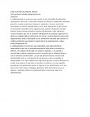 Porque decidi estudiar administración de empresas