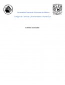 Reseña de: Anna Karenina y la historia del conde Vronsky, Mary y la flor de la hechicera y X_500