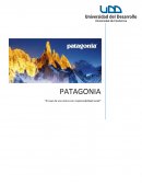PATAGONIA “El caso de una marca con responsabilidad social”