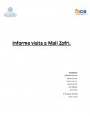 Informe visita a Mall Zofri