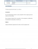 Trabajo grupal/individual: La cultura