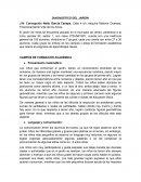 DIAGNOSTICO DEL JARDÍN