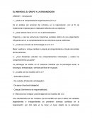 Individuo, grupo y organizacion