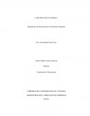 Caso práctico constitución y democracia