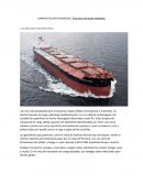 LOS BUQUES GRANELEROS