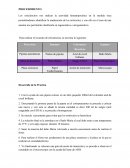 Procedimiento. Los reticulocitos nos indican la actividad hematopoyética en la medula ósea