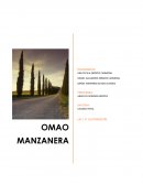 OMAO MANZANERA ANÁLISIS DE LA SITUACIÓN ACTUAL