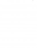 EL FEMINICIDIO EN CHINCHA ALTA