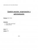 Gestión escolar, organización y administración