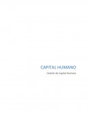 Gestión de Capital humano