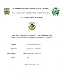 PRINCIPALES IMPACTOS EN LA AGRICULTURA PERUANA COMO CONSECUENCIA DE LOS MAYORES INTERCAMBIOS CULTURALES