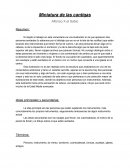 Cantigas alfonso X comentario