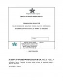 TALLER NORMAS DE SEGURIDAD PARA EL EVENTO EMPRESARIAL DETERMINACION Y APLICACION LAS NORMAS DE SEGURIDAD