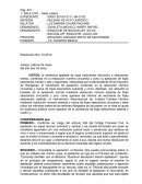 Resolucion de apelacion