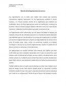 Relacion de las Organizaciones y su entorno