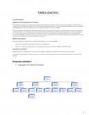 Organigrama sobre la organización de una empresa