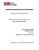 Ensayo la familia en desorden