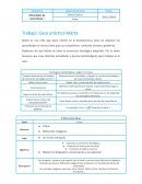 Trabajo: Caso Practico Marta