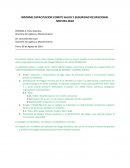 Informe Capacitacion comite salud