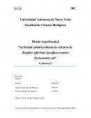 Actividad antimicrobiana de extracto de zingiber officinale (jengibre) contra escherichia coli
