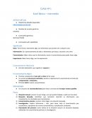 Excel Básico – Intermedio APOYO VIRTUAL