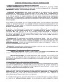 DERECHO INTERNACIONAL PÚBLICO: INTRODUCCIÓN