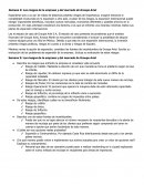 Semana 5: Los riesgos de la empresa y del mercado de Groupe Ariel