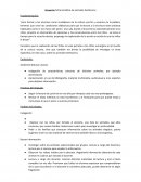 Proyecto: ficha temática de animales herbívoros