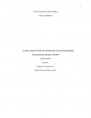 LA SELVA DE EL TÚNEL; EL ENIGMA DE LAS LIANAS DE MARÍA