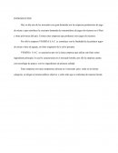 IDEA DE NEGOCIO - ELABORACIÓN DE PRODUCTO Néctar De Aguaje