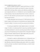 ENSAYO BUENO BONITO Y CARITO