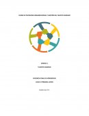 EVIDENCIA FINAL DE APRENDIZAJE CASO 3: PERSONAL JOVEN