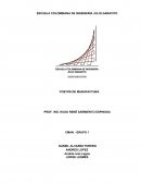 TRABAJO PRÁCTICO EMPRESARIL. COSTOS DE MANUFACTURA