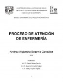 Proceso de Atención Enfermería (PAE)