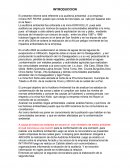 INFORME FASE 1 AUDITORIA AMBIENTAL INTI RAYMI