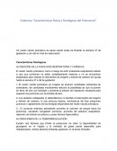 Características físicas y fisiológicas del prematuro