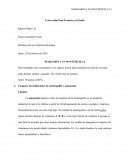 MARGARINA VS MANTEQUILLA