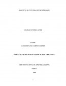 PROYECTO DE INVESTIGACIÓN DE MERCADOS