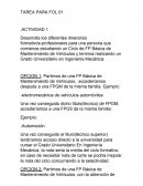 Trabajo formacion y orientacion laboral