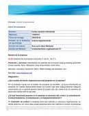 CULTURA ORGANIZACIONAL OLSA Sistemas De Iluminación Automotriz S. de R.L. de C.V.