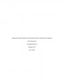 Principios Básicos del Fenómeno Eléctrico a Situaciones Cotidianas
