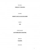 Ideas principales de la filosofía en la edad media