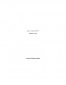 ¿Qué es empresarismo? Análisis Critico