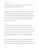 CINTURÓN DE SEGURIDAD E IMPORTANCIA